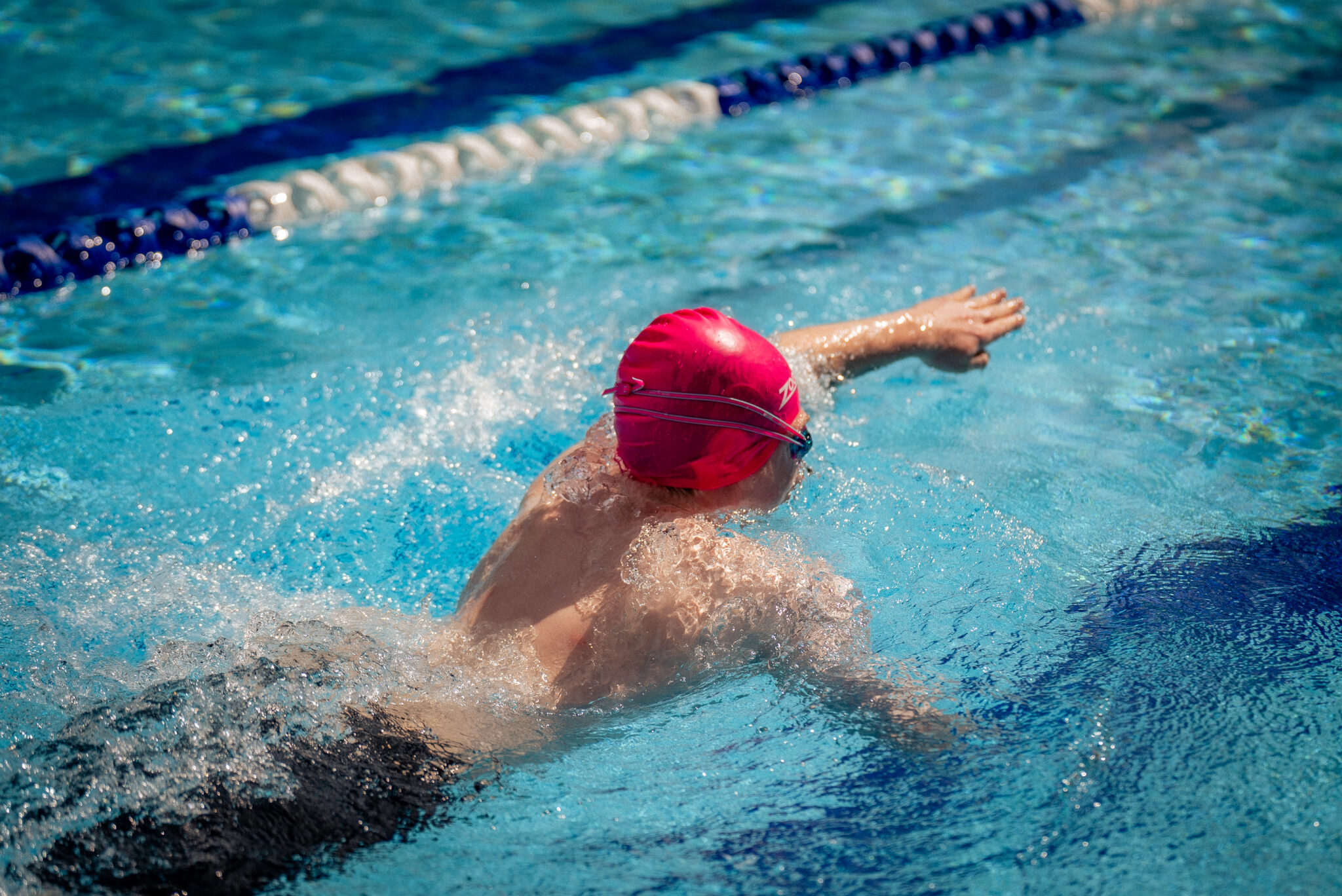 Swim - Dickson Pool